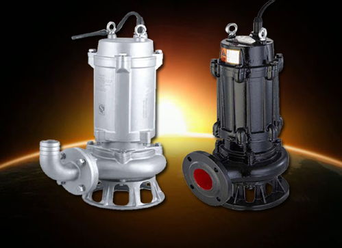 浅析排污泵的常用安装方式 自动耦合装
